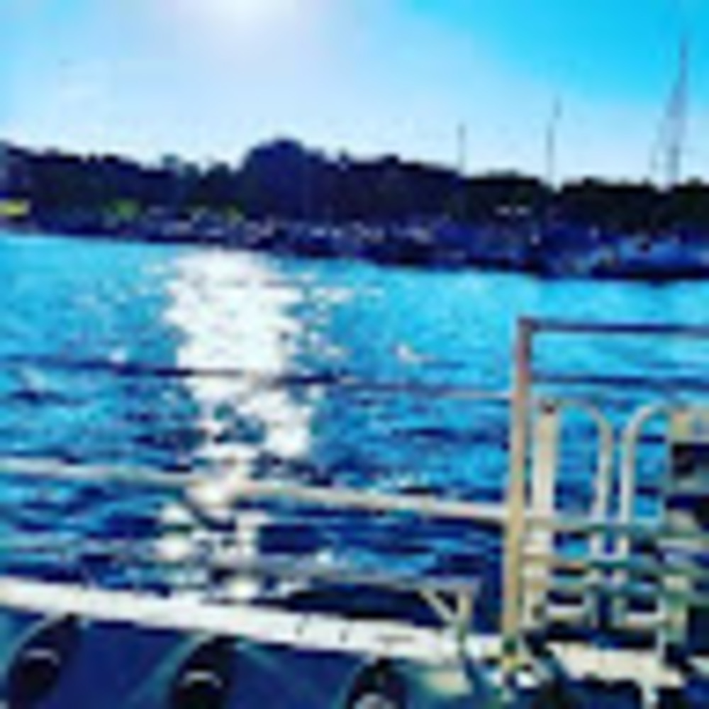 Meet your Posher, Bella